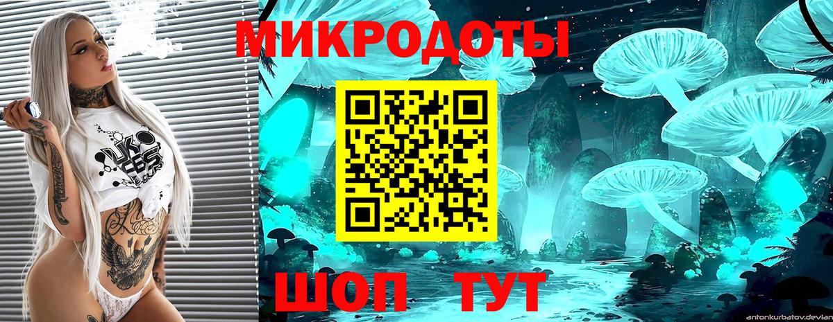 Муравленко  Псилоцибиновые грибы Cubensis  Вход с VPN 